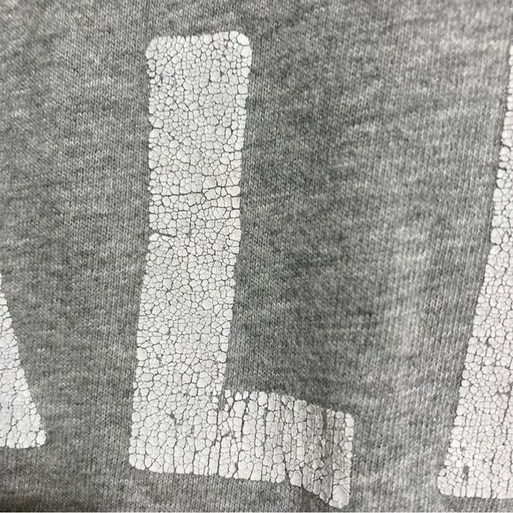 HOLLISTER HCO Huntington Beach Pier California Gray Grey Youth Inisex Large - Picture 12 of 14